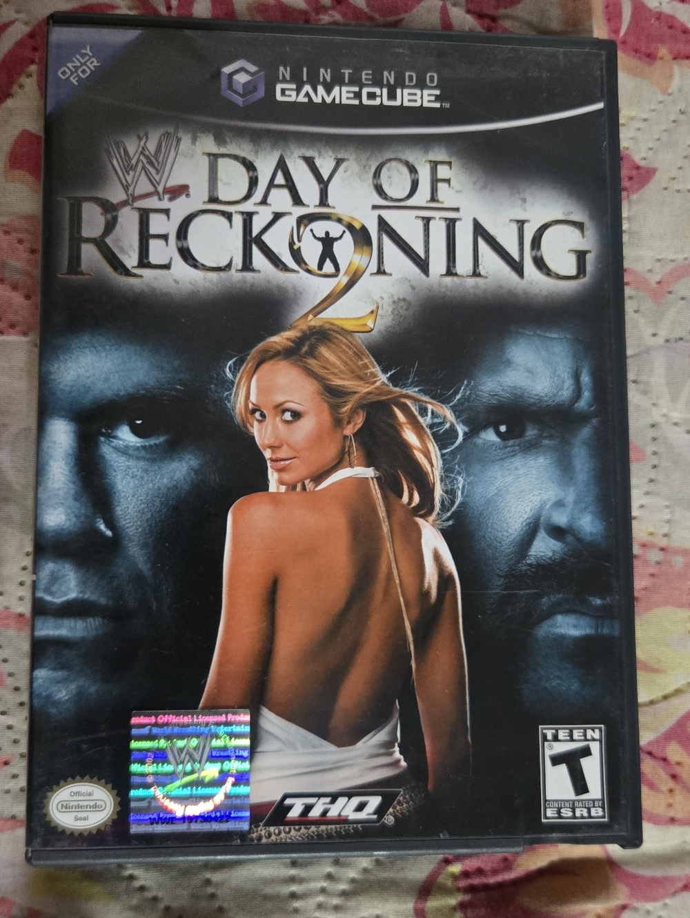 HQ WWE Day of Reckoning 2 GameCube Case with Black & Blue Cover Art